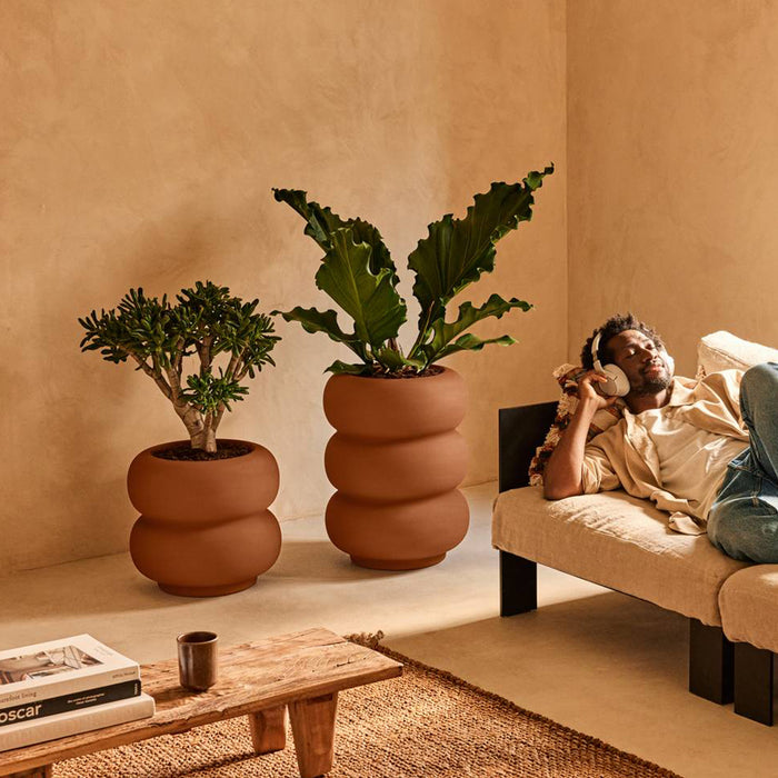 327618-x02-202501032021-A.jpg (9770323) 