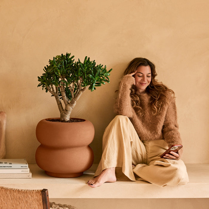 327618-x03-202501032021-A.jpg (9770324) 