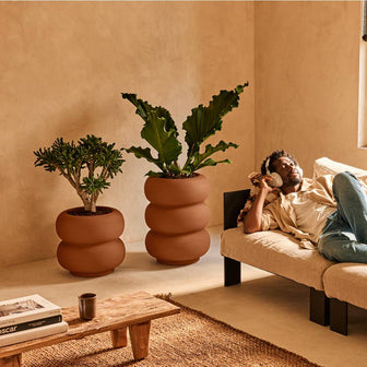 327621-x03-202501032021-A.jpg (9770340) 