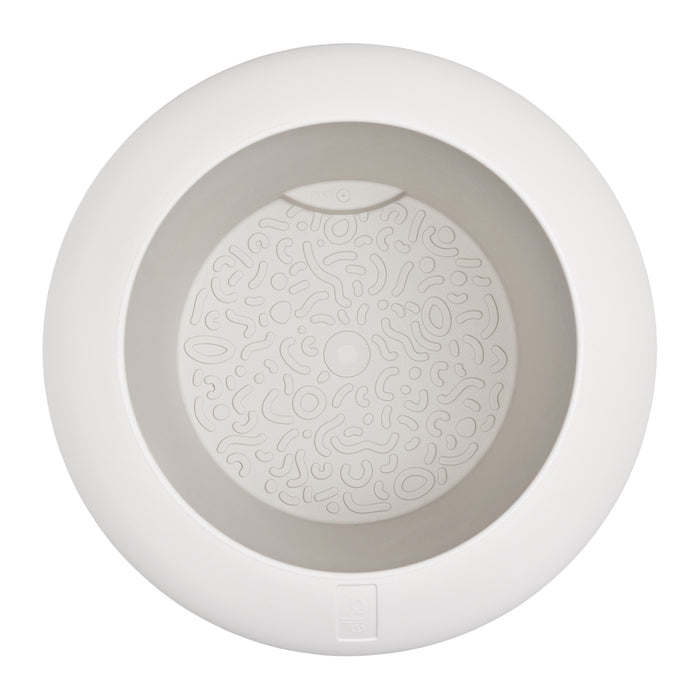 327619-x04-202501090122-C.jpg (9809060) 