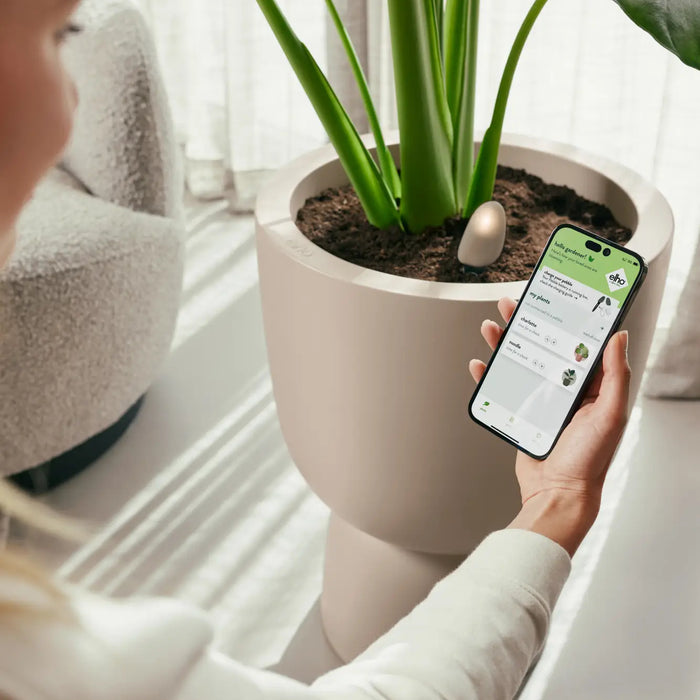 smart_pebble.i6.jpg (9809338) 