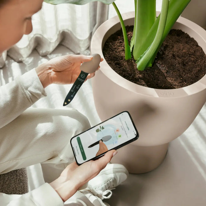 smart_pebble.i2.jpg (9809339) 