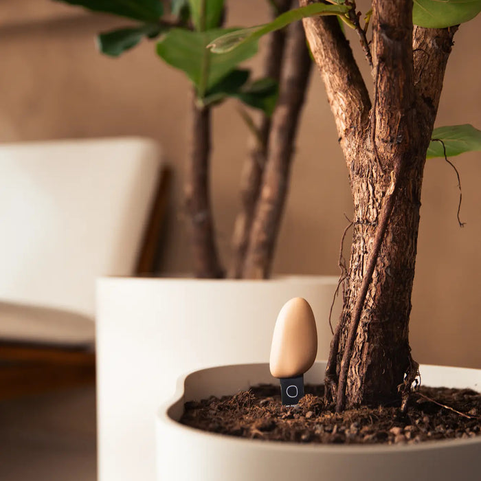 elho_Premium__Eden_Smart_Pebble_2.i1.jpg (9809341) 