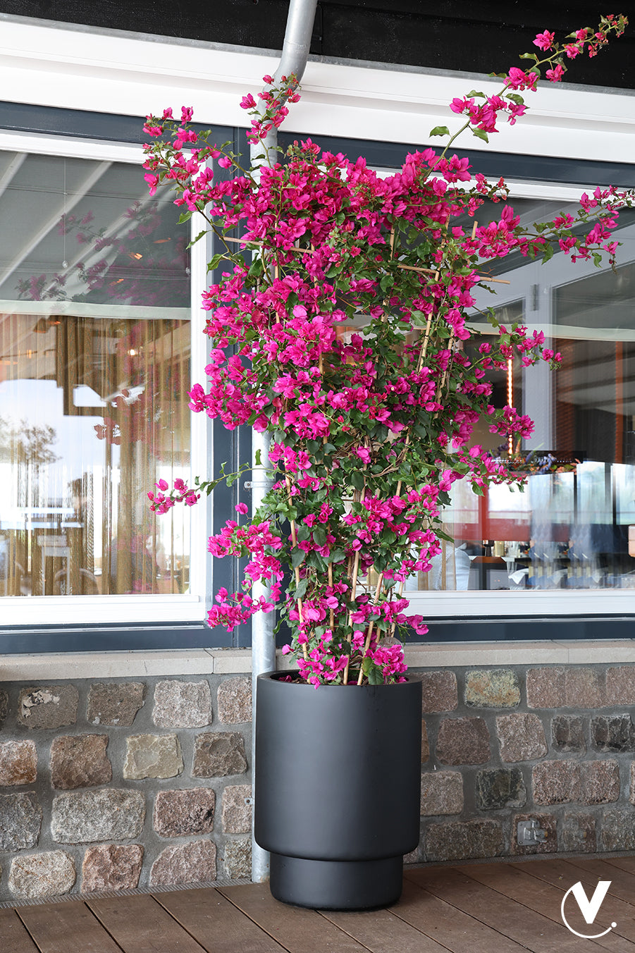 0581cbeb-a9d7-4d55-b648-6ad7fa2ffb3d-vrijstaandbeeld.jpg (9809977) 