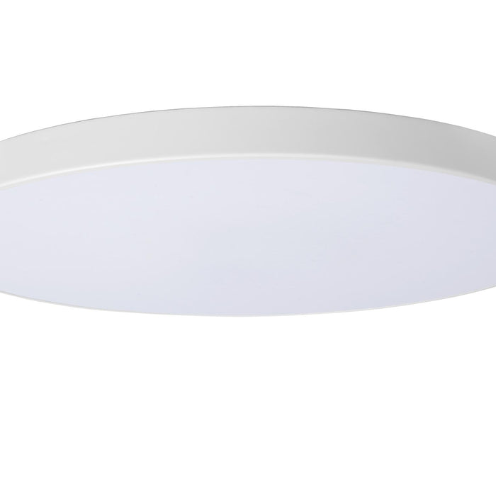 49dc06a2-e805-4c03-90db-205a69a5c91d-afbeelding3.jpg (9824385) 