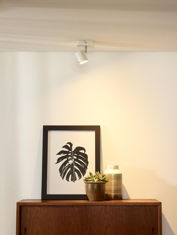 db955a8f-8913-4b88-9dca-fdcc47de4b4f-sfeerbeeld.jpg (9825186) 