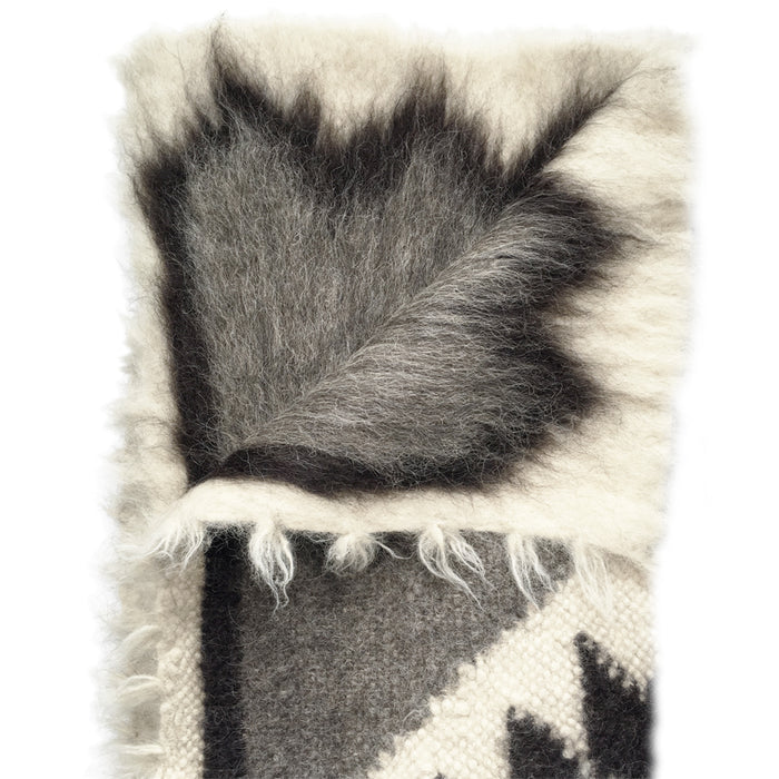 327984-x01-202501281722-C.jpg (9881579) 