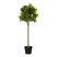 Mica Decorations Laurierboom Kunstplant - H120 x Ø40 cm - Groen