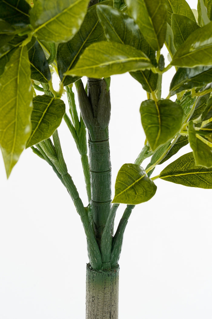 Mica Decorations Laurierboom Kunstplant - H120 x Ø40 cm - Groen