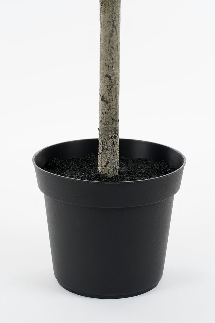 Mica Decorations Laurierboom Kunstplant - H120 x Ø40 cm - Groen