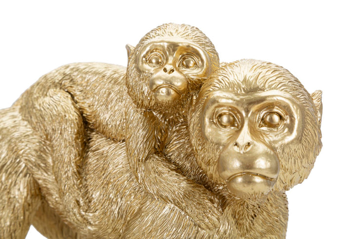 Mauro Ferretti Animali Aap in hars