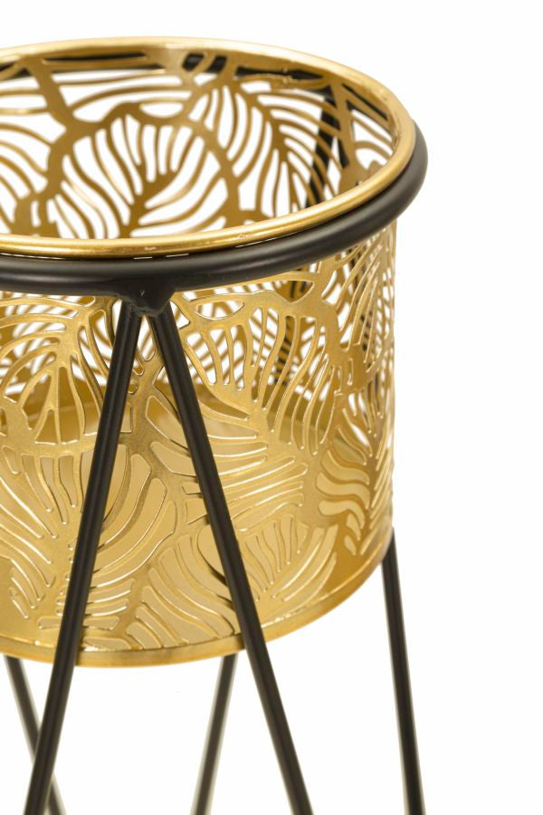 Mauro Ferretti Drak Set van 2 vazenhouders in goud metaal