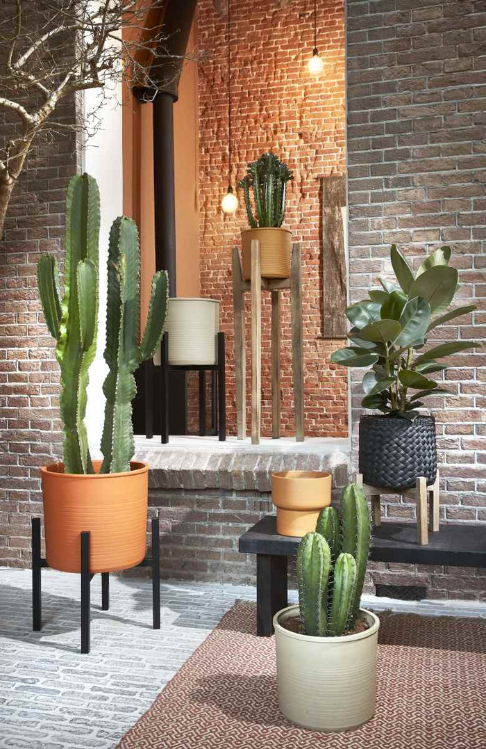 1f6bb093-732b-4eb4-87d4-7a4b4144a36b-afbeelding3.jpg (9909279) 