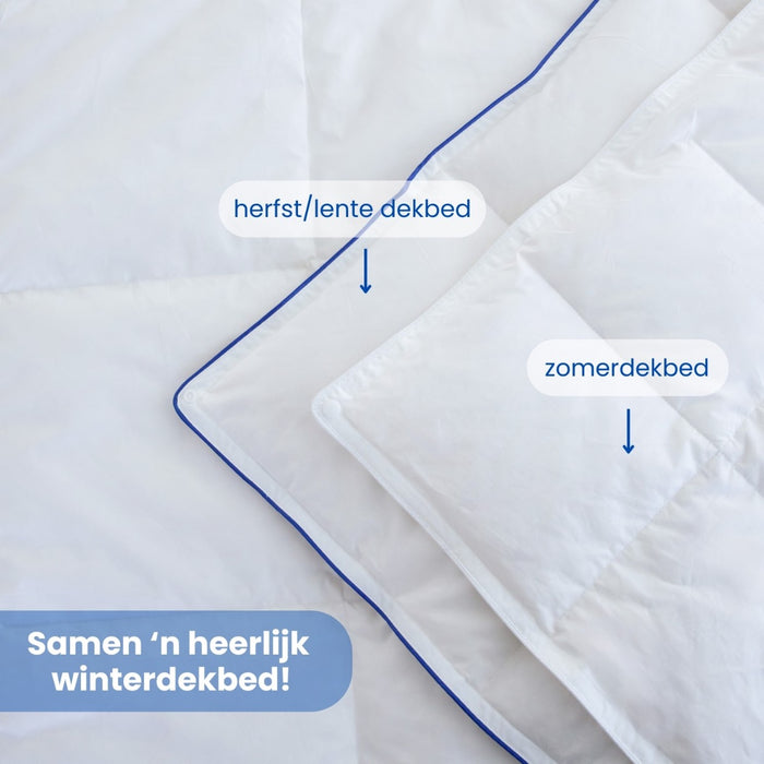 Fabiola - Zwaar Dons 4-Seizoenen Dekbed - 200x220cm