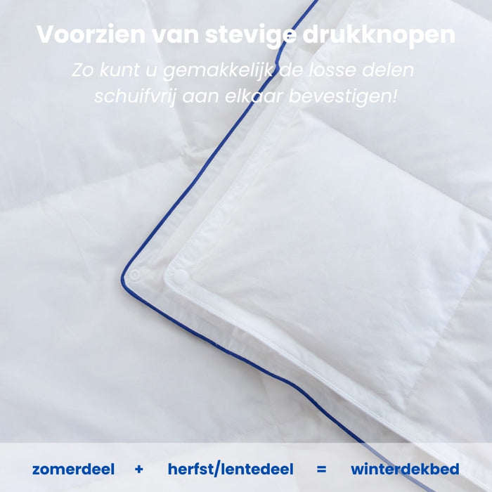 Fabiola - Zwaar Dons - 4-Seizoenen Dekbed - 260x220cm