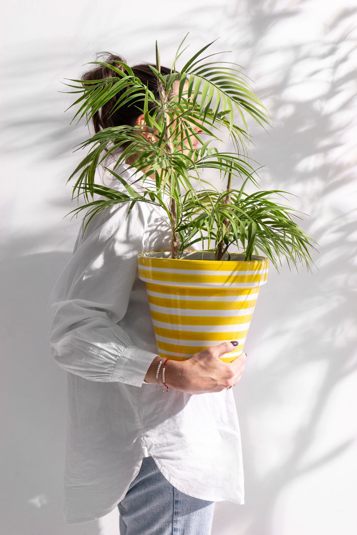 762a13ac-df77-423f-8ea4-8fabdb747da0-afbeelding3.jpg (9934307) 