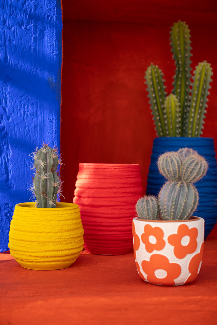 3e3aeef1-1446-4de8-9715-be2f80cfd3e7-sfeerbeeld.jpg (9934314) 