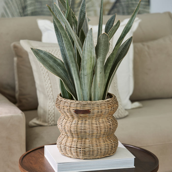 cb6b0bad-8623-4a90-85f7-3e20e7f1383e-afbeelding3.jpg (9939844) 