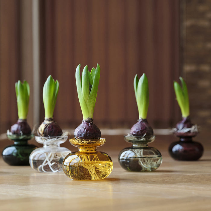 74abdc8c-37b0-4e6d-927c-f67e49cfcb5d-afbeelding3.jpg (9941292) 