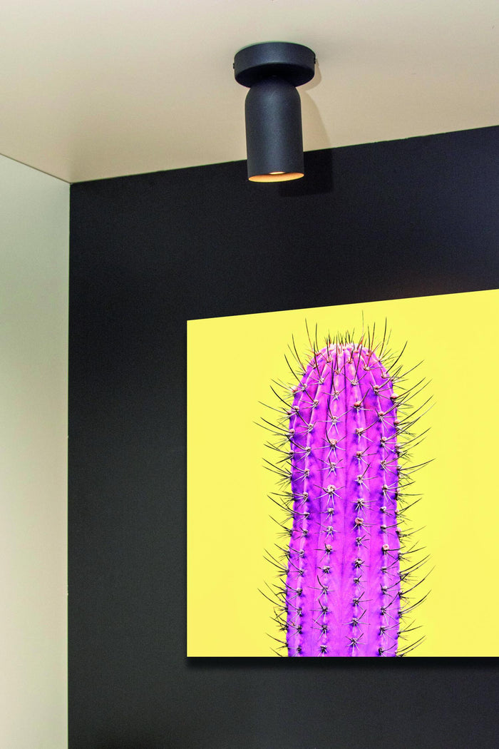 978b6aa9-16d9-4640-b377-3f77f4aafe87-afbeelding4.jpg (9950573) 