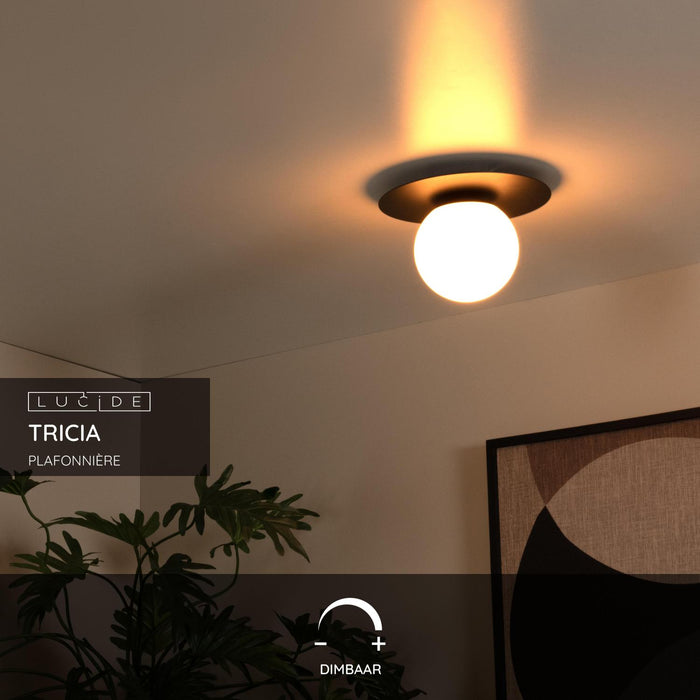 0aedcb11-1f04-4d09-a139-c0411bde6d1f-sfeerbeeld.jpg (9951062) 