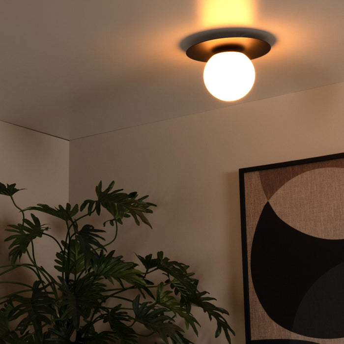 0aedcb11-1f04-4d09-a139-c0411bde6d1f-afbeelding4.jpg (9951069) 