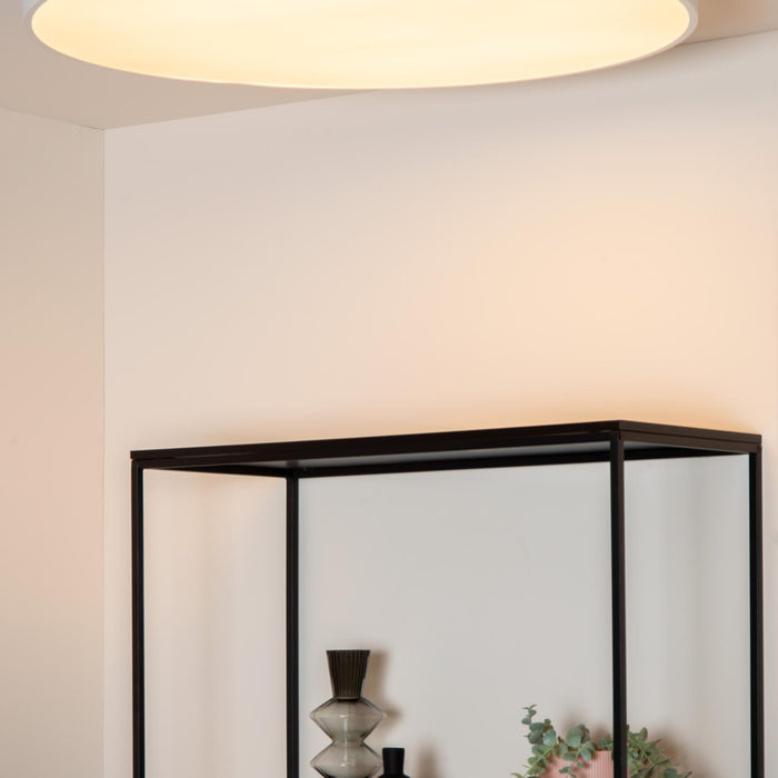 49dc06a2-e805-4c03-90db-205a69a5c91d-afbeelding4.jpg (9952180) 