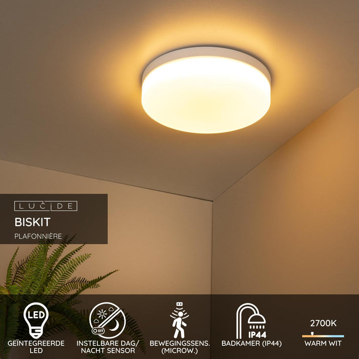 c795fa01-0ce2-45f3-98d3-af4934381378-sfeerbeeld.jpg (9952222) 