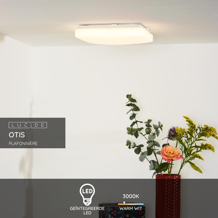 0cdf0ebd-d6b9-47d6-9314-43309566261d-sfeerbeeld.jpg (9954363) 