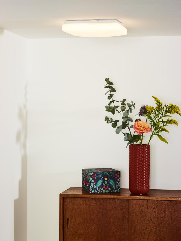 0cdf0ebd-d6b9-47d6-9314-43309566261d-afbeelding4.jpg (9954366) 