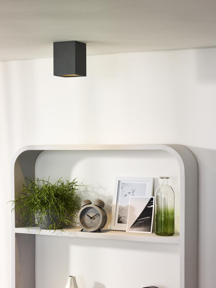 112749b8-34b9-4868-929d-bea2e5b06370-afbeelding4.jpg (9954421) 