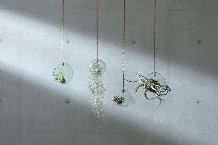 L.S.A. - Canopy Plantenhanger ø 12 cm