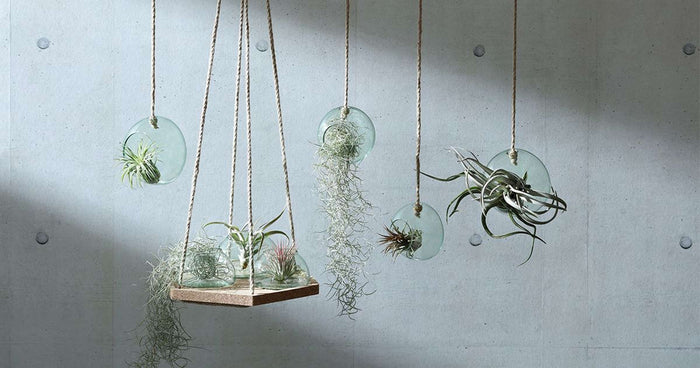 L.S.A. - Canopy Plantenhanger ø 10 cm