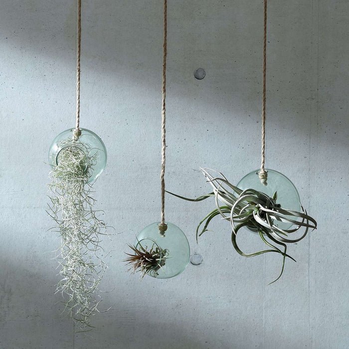 L.S.A. - Canopy Plantenhanger ø 10 cm
