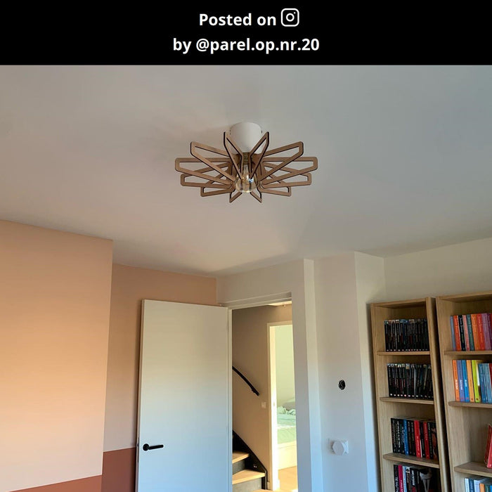 a450ee6d-0711-4202-9795-104ec50dc0d0-afbeelding12.jpg (9973449) 