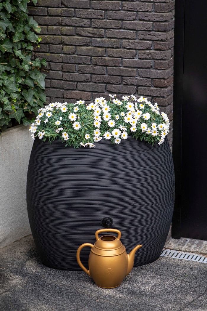 Xala Gieter Chai 10L - 42x26x37 - Goud