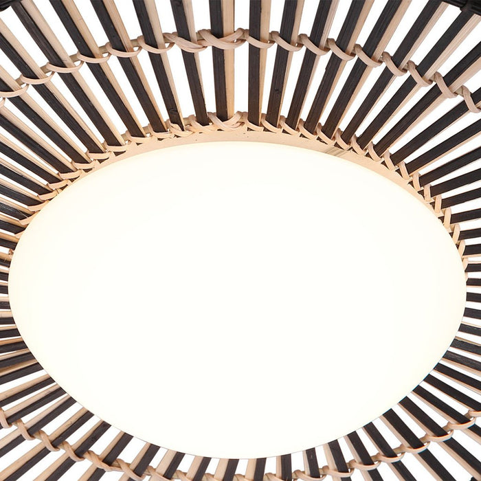 11bae174-e544-4f68-9a2a-06e054d5d222-afbeelding7.jpg (9975865) 