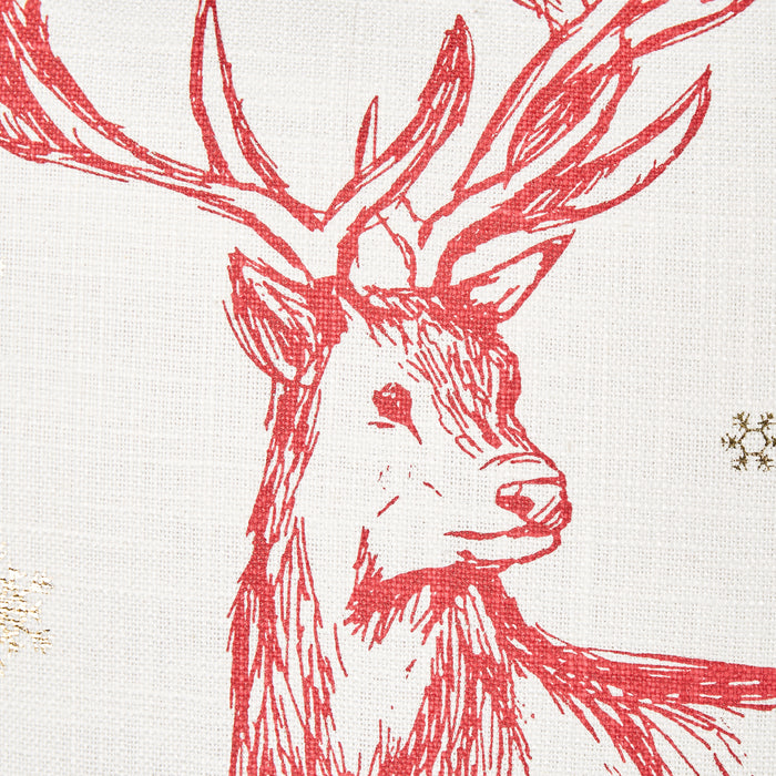 49146c91-50f8-4f86-8e17-8ffcfb6899d3-afbeelding6.jpg (9983443) 