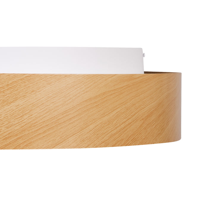 b2f94e69-b1f5-42bf-86a6-a09edad07745-afbeelding5.jpg (9984772) 