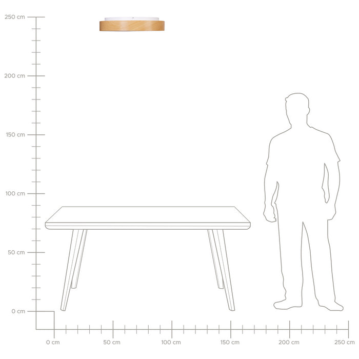 b2f94e69-b1f5-42bf-86a6-a09edad07745-afbeelding7.jpg (9984787) 